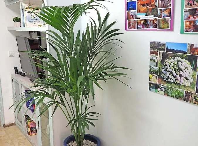 La Luz Las Palmas de Gran Canaria